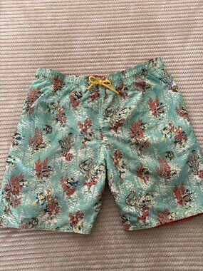 Lands' End Men's Reversible Swim Shorts Trunks Large